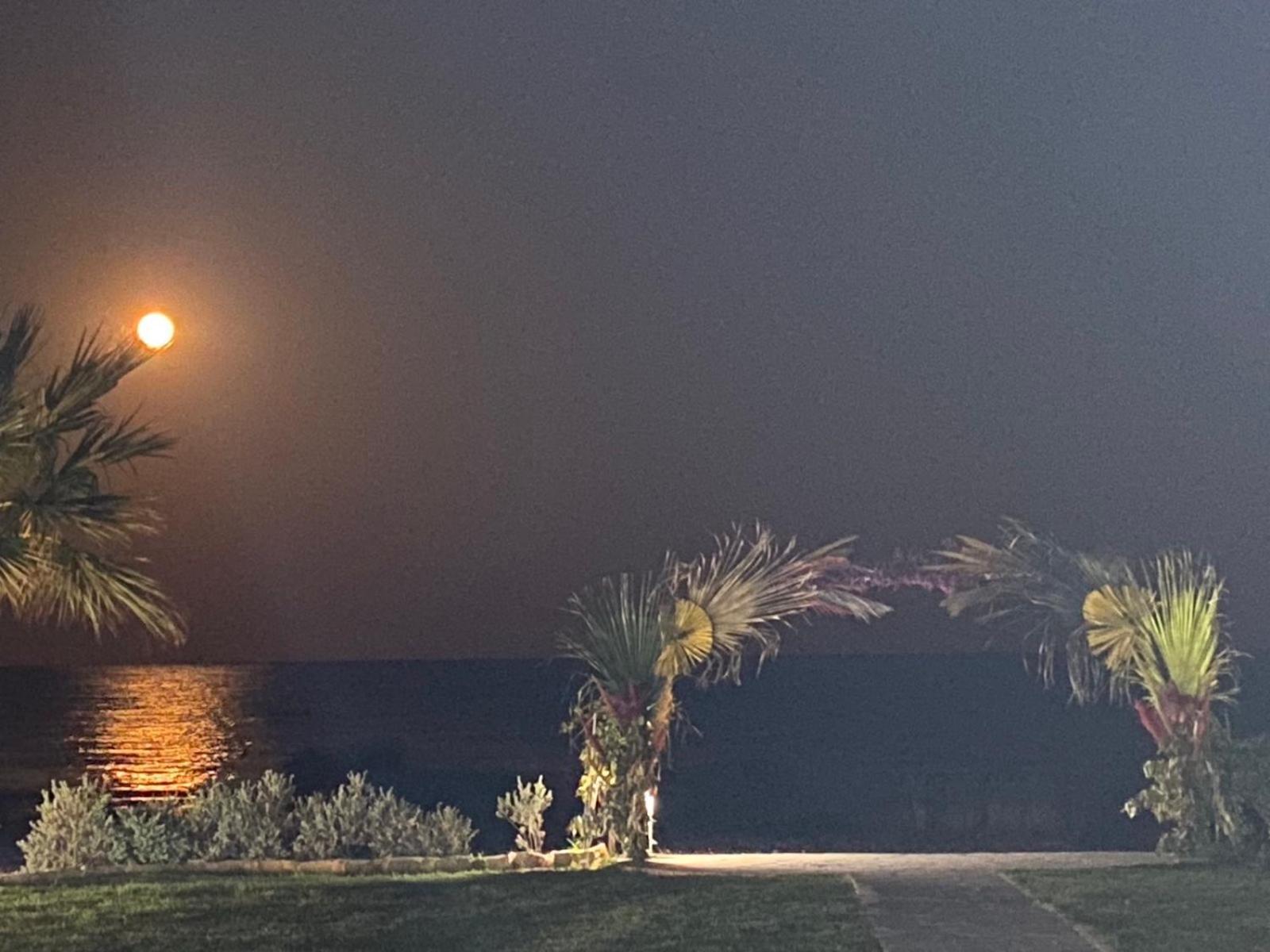 Ionion Beachfront Villa Agia Napa Exterior foto