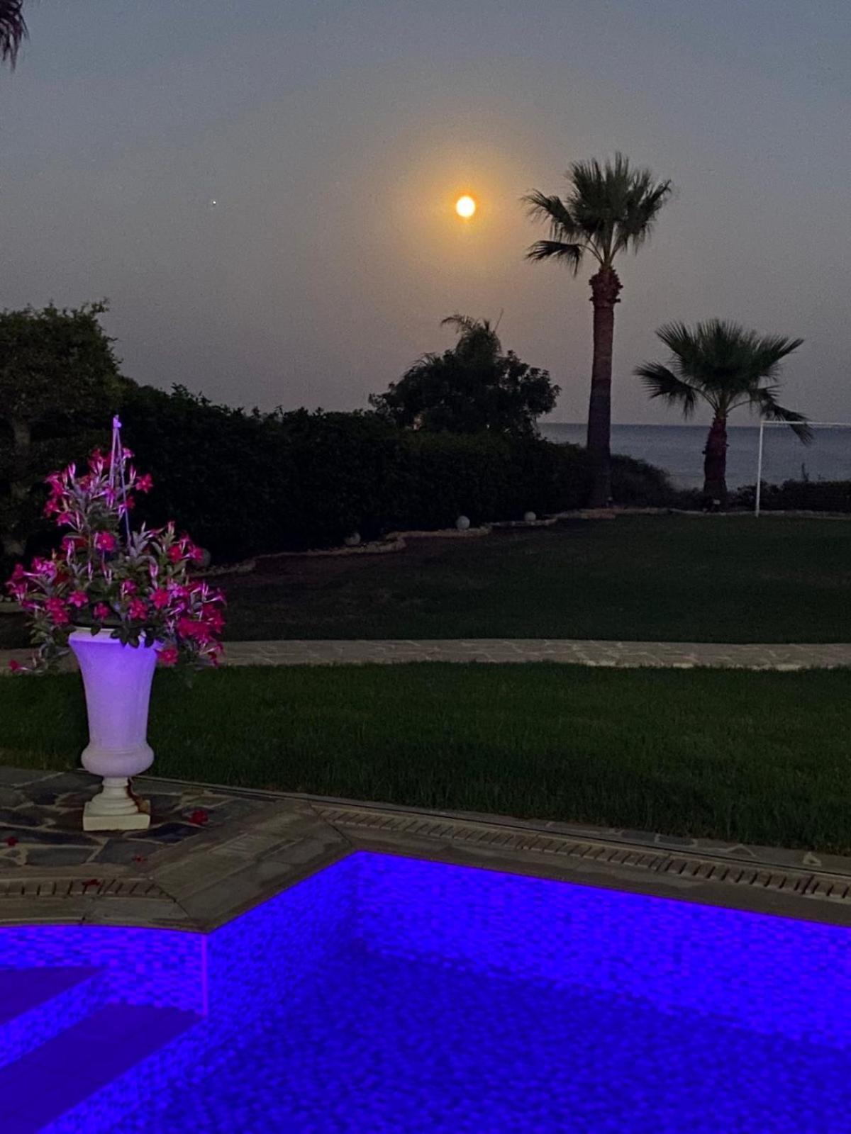 Ionion Beachfront Villa Agia Napa Exterior foto